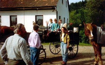 auf zur Pferdeweihe